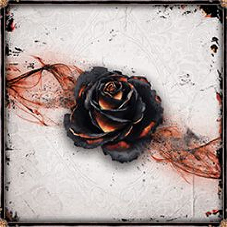 Black Rose Wars image