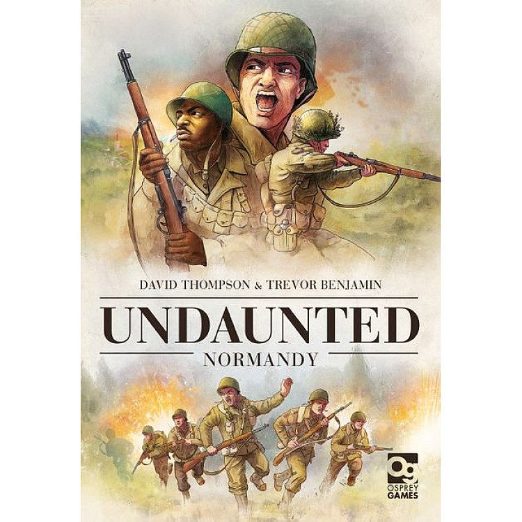 Undaunted: Normandy image