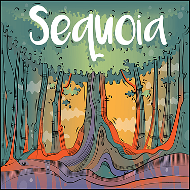 Sequoia