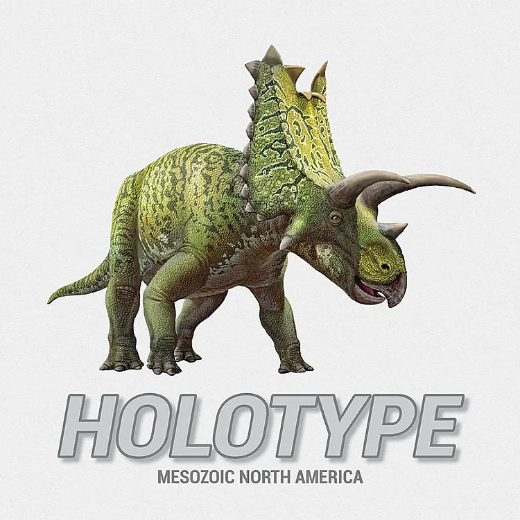 Holotype: Mesozoic North America image
